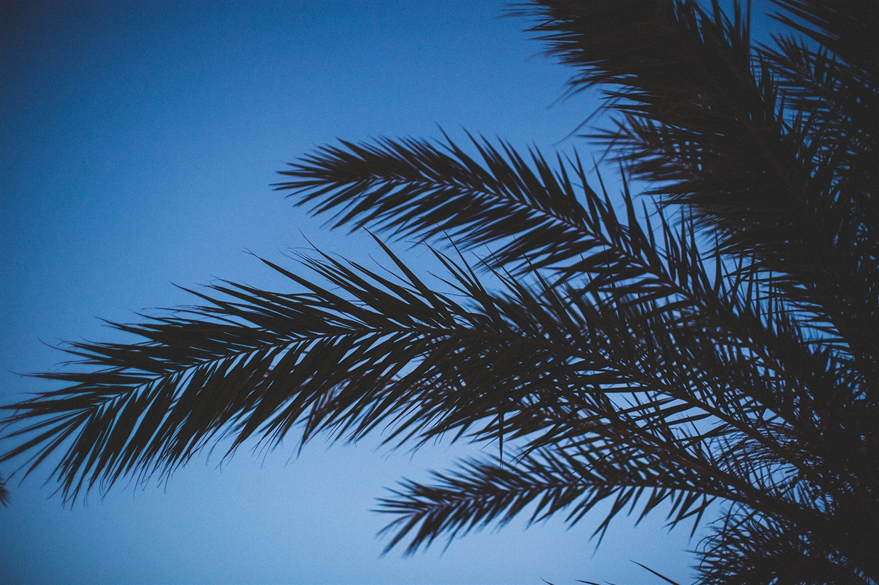 sergey&kristina_mallorca_wedding