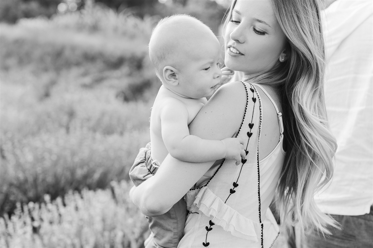 family_photoshoot_lavender