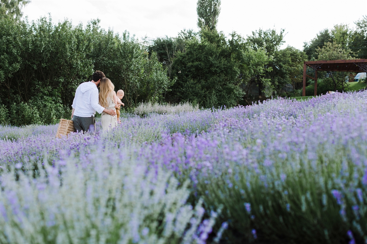 family_photoshoot_lavender
