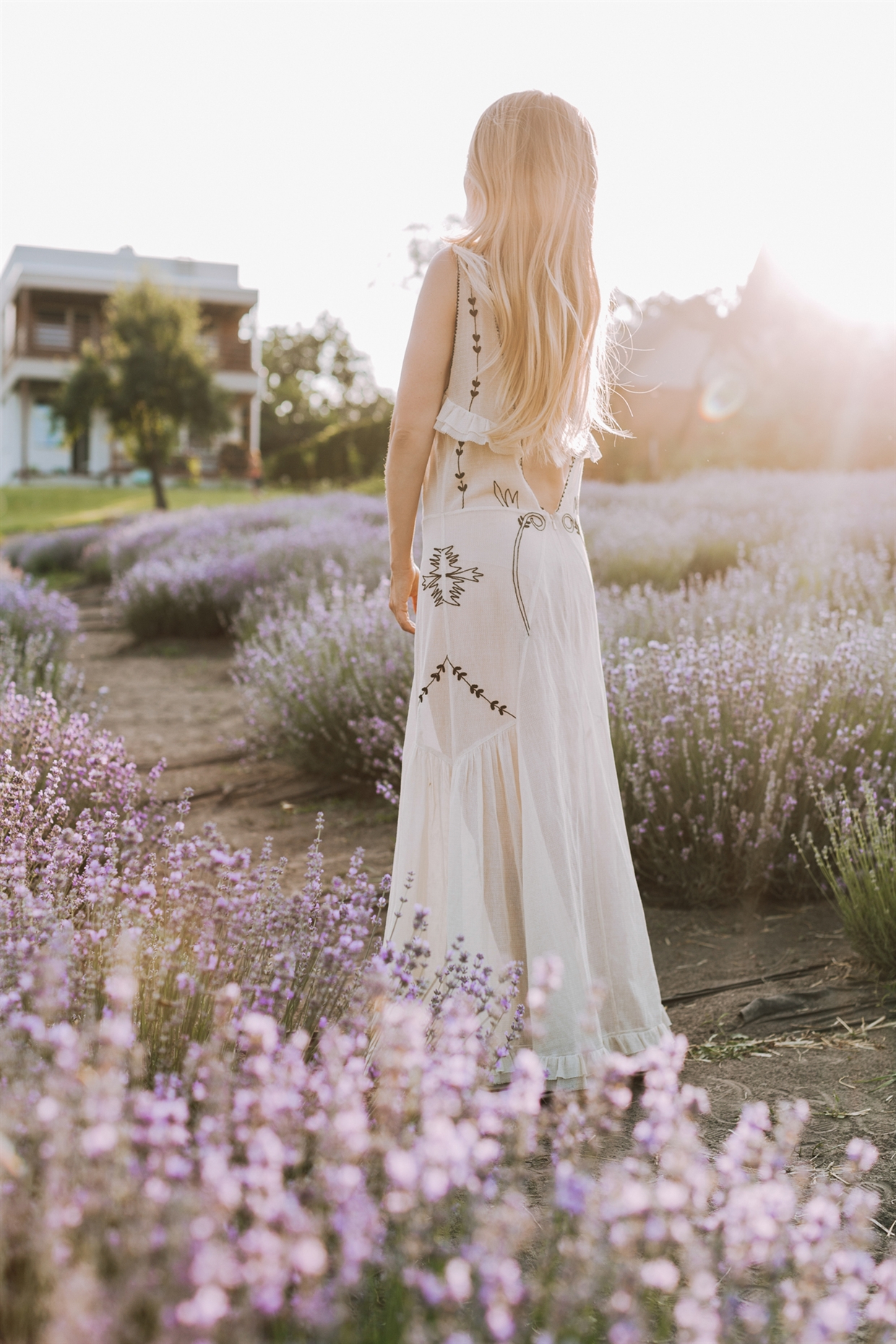 family_photoshoot_lavender