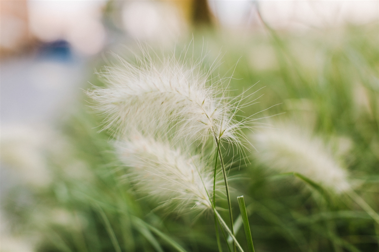 lovestory budapest лавстори будапешт 