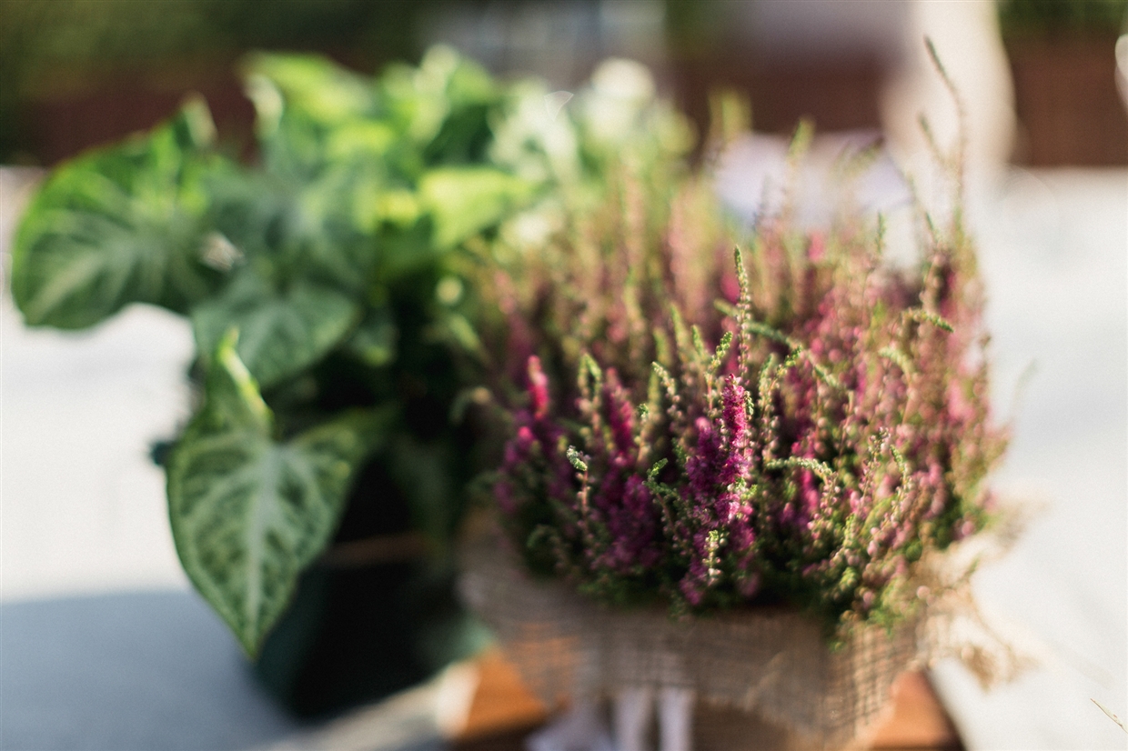 yuriy&olgagardenwedding