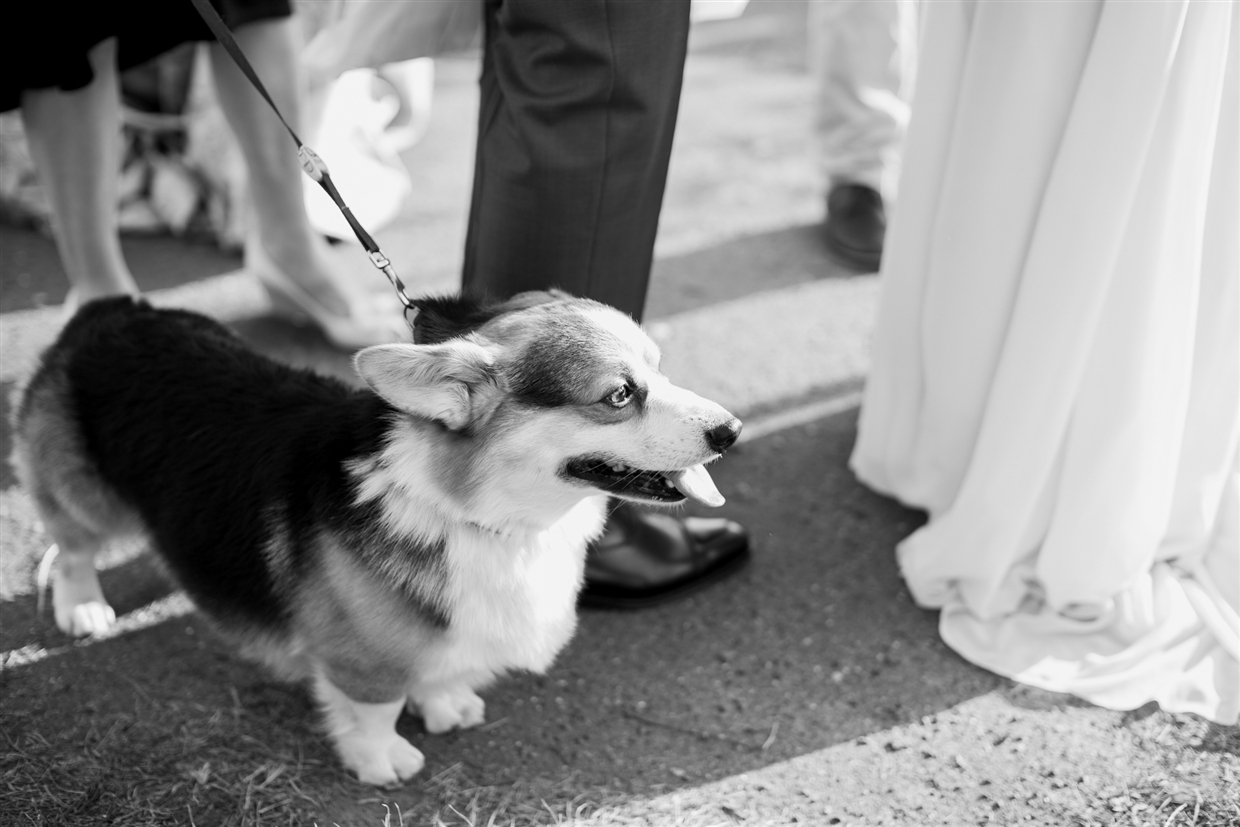 yuriy&olgagardenwedding