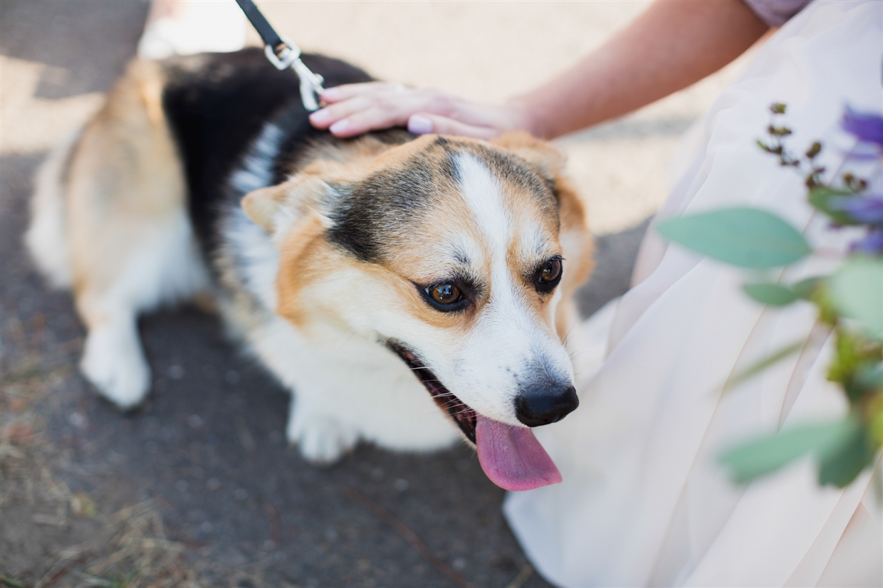 yuriy&olgagardenwedding