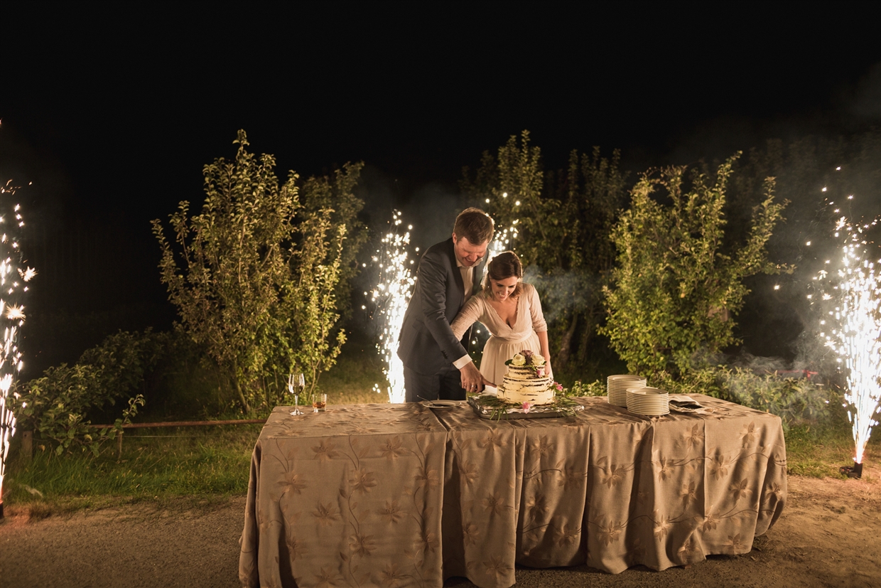 yuriy&olgagardenwedding