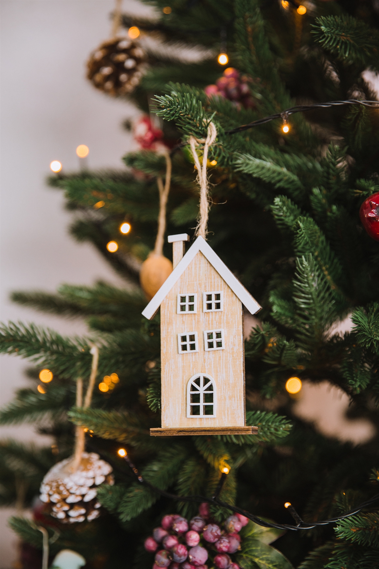 новогодняя семейная фотосессия