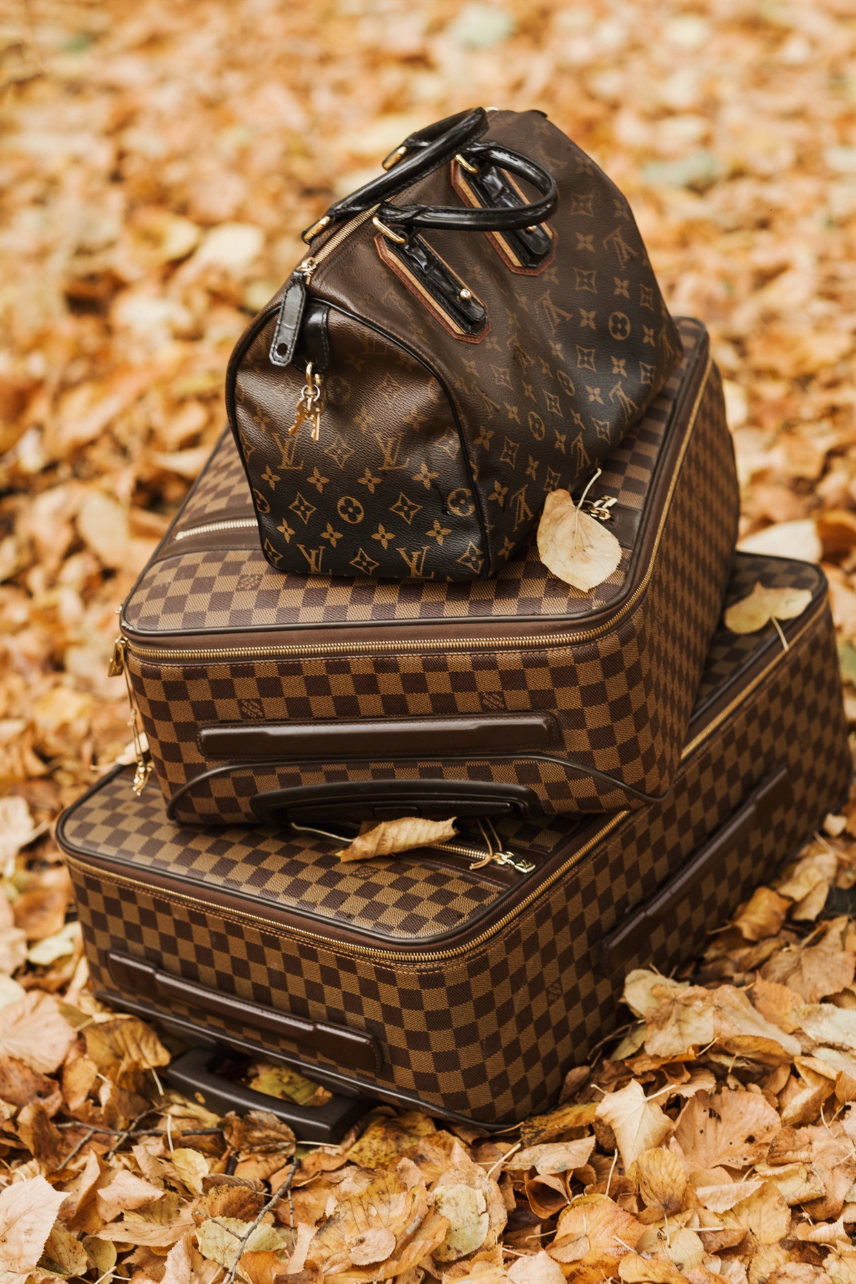 AutumnFamilyPhotoshoot