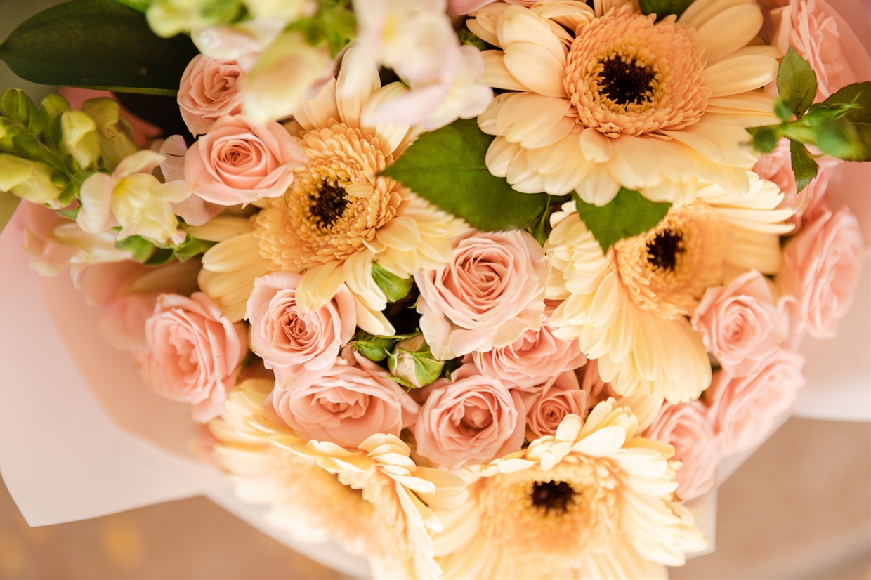 kids/lol/birthdayparty