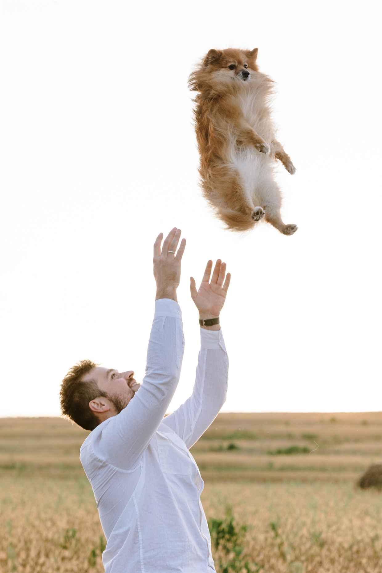 фотосессия _беременности_в_поле_колосков