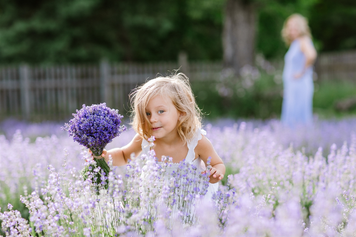 fotosessia_v_lavande