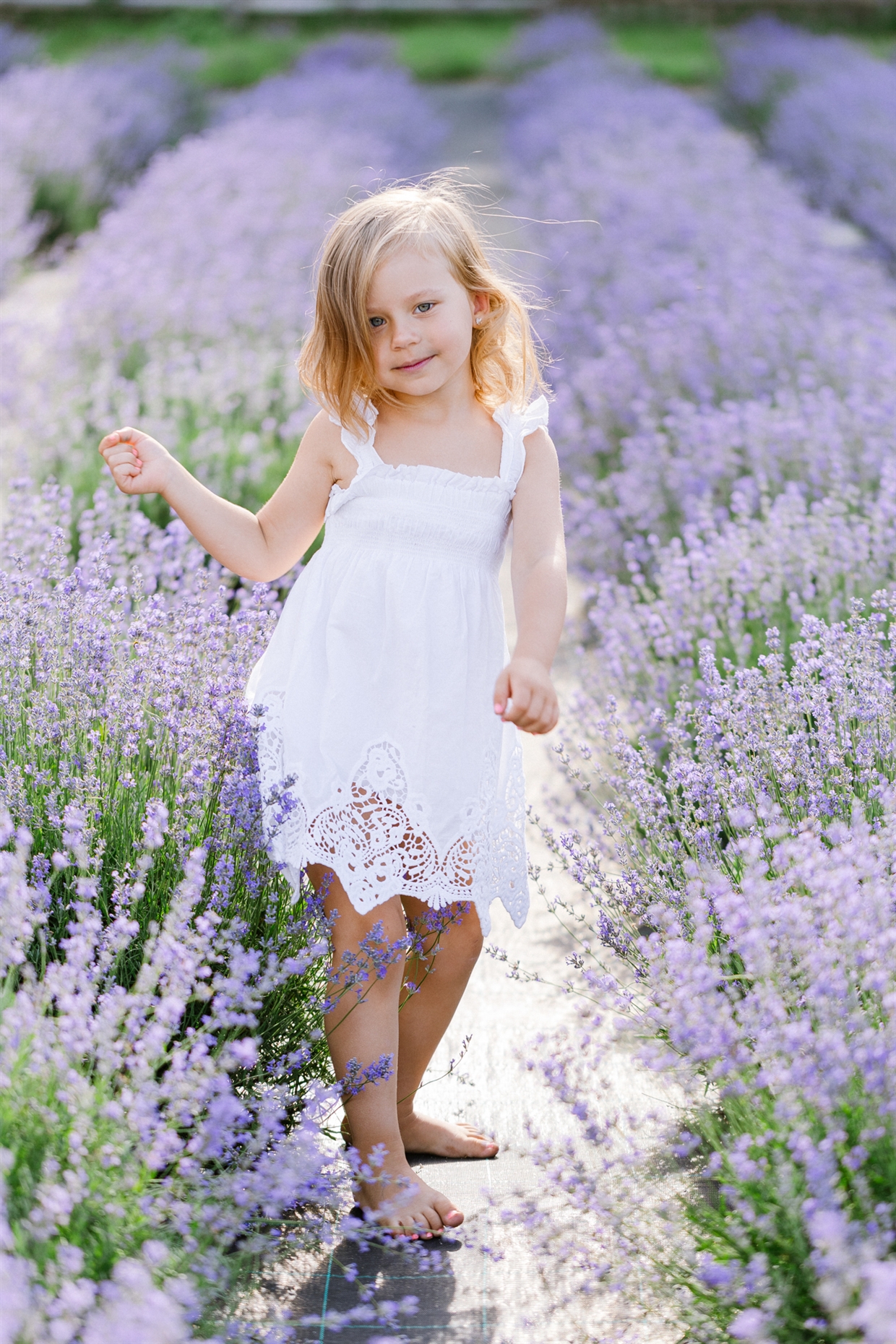 fotosessia_v_lavande