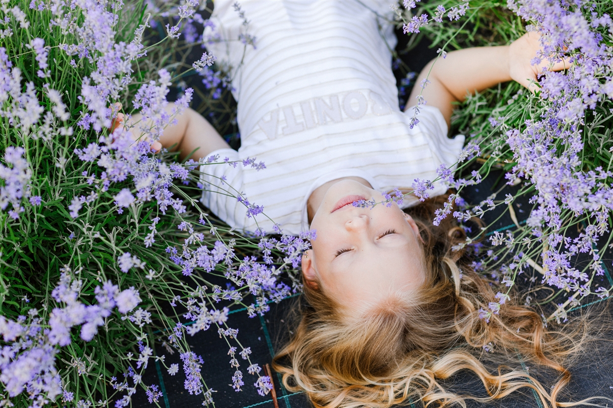 fotosessia_v_lavande