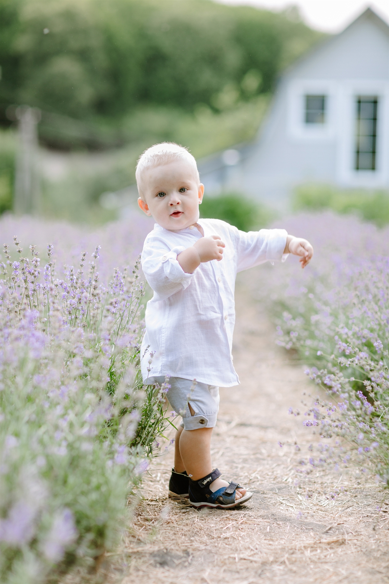 big_family_photoshoot_lavender
