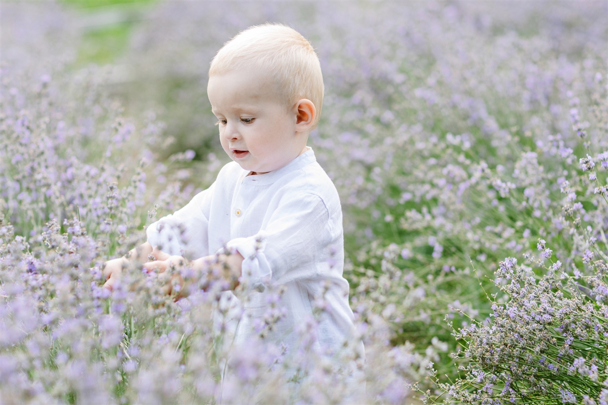 big_family_photoshoot_lavender