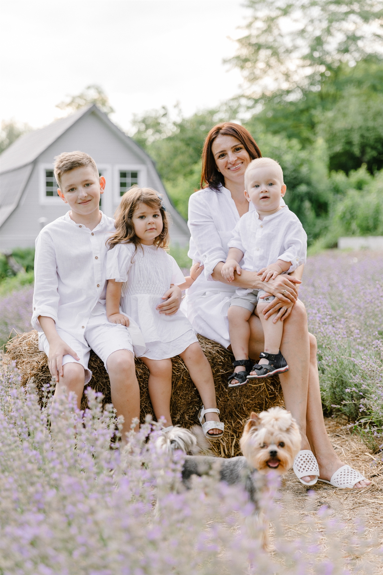 big_family_photoshoot_lavender