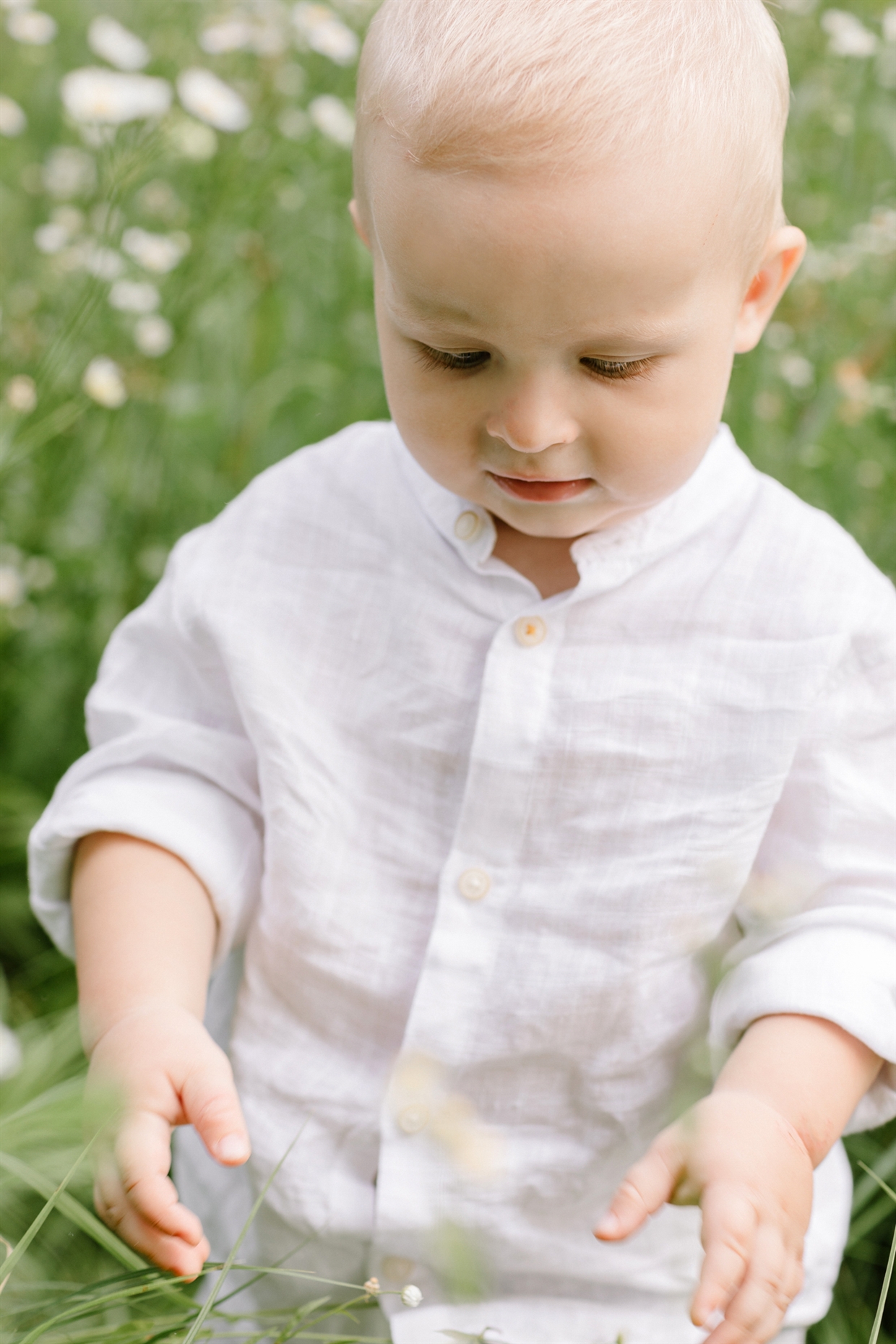 big_family_photoshoot_lavender