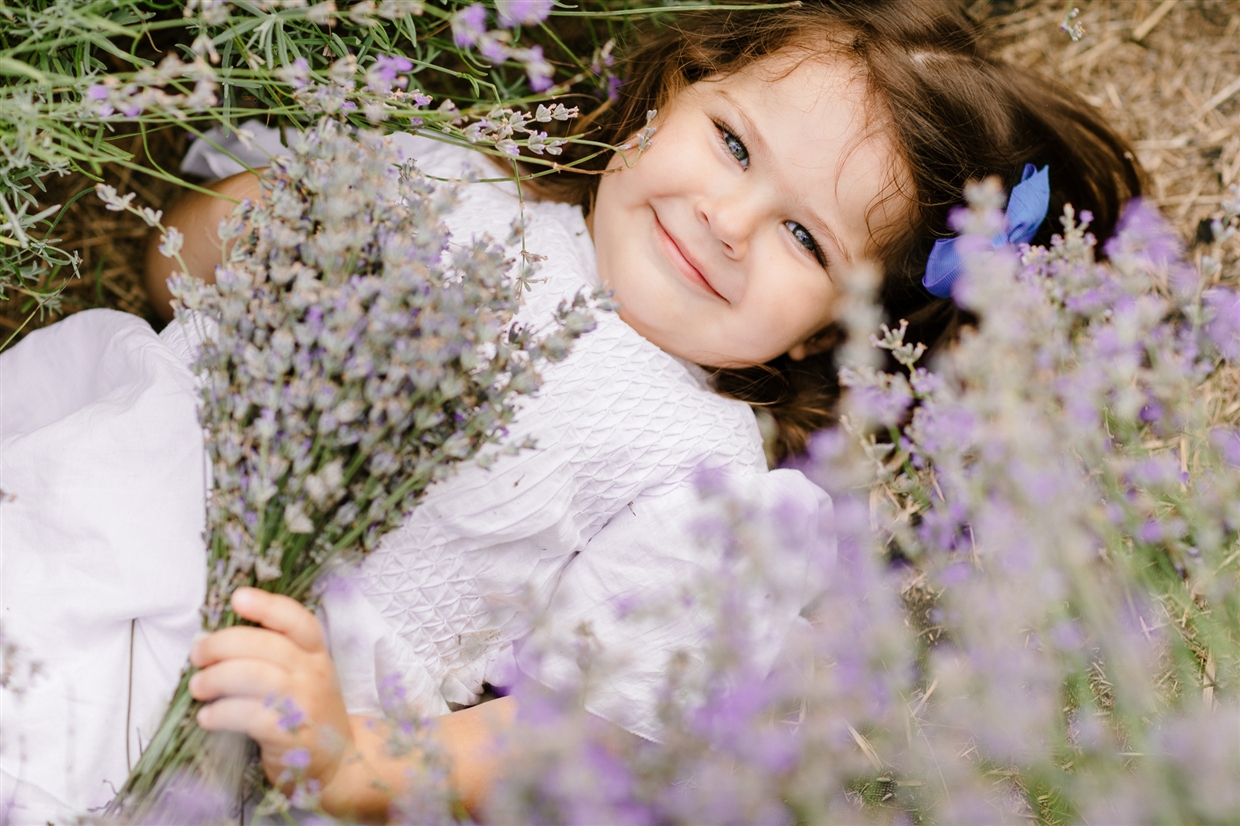 big_family_photoshoot_lavender