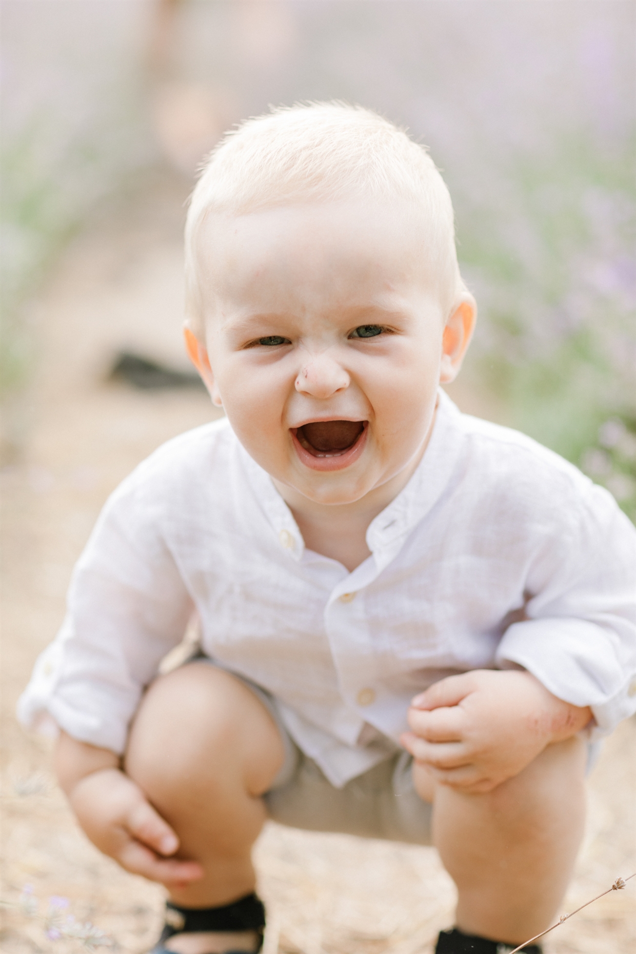 big_family_photoshoot_lavender