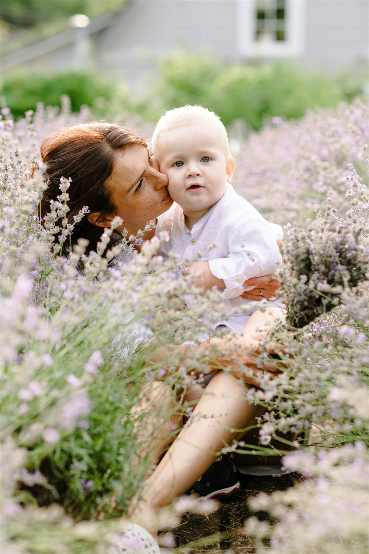 big_family_photoshoot_lavender