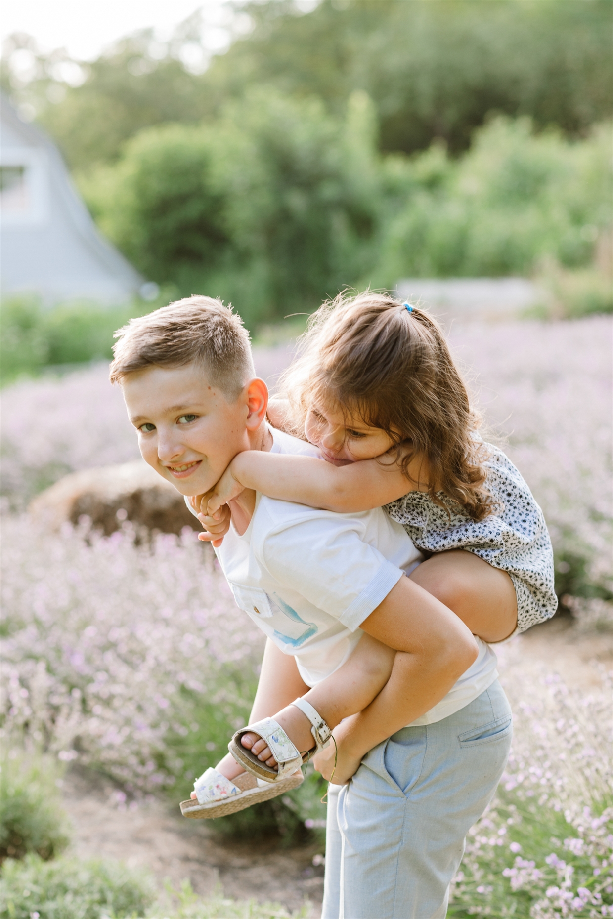 big_family_photoshoot_lavender
