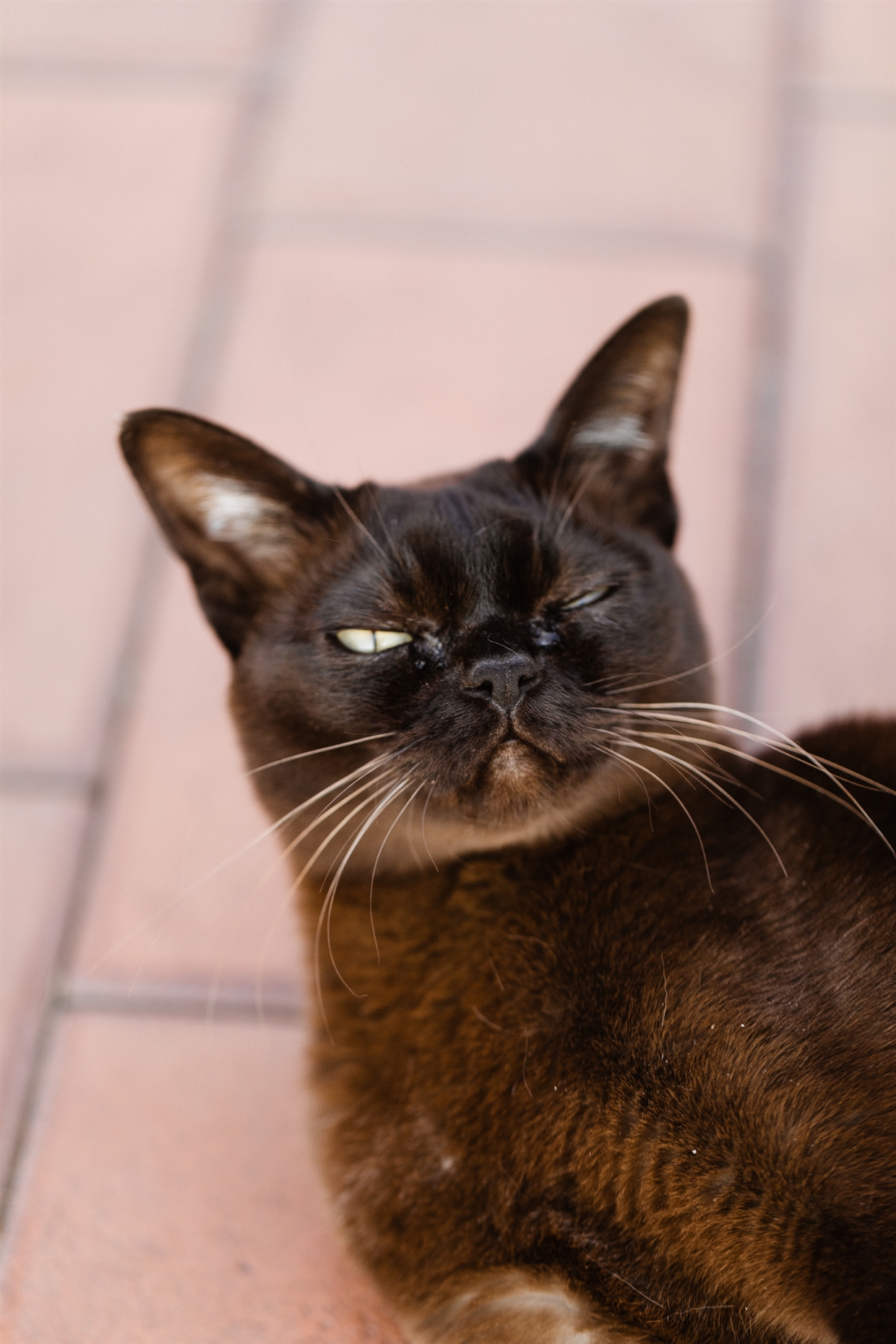 osennya_photosessiya