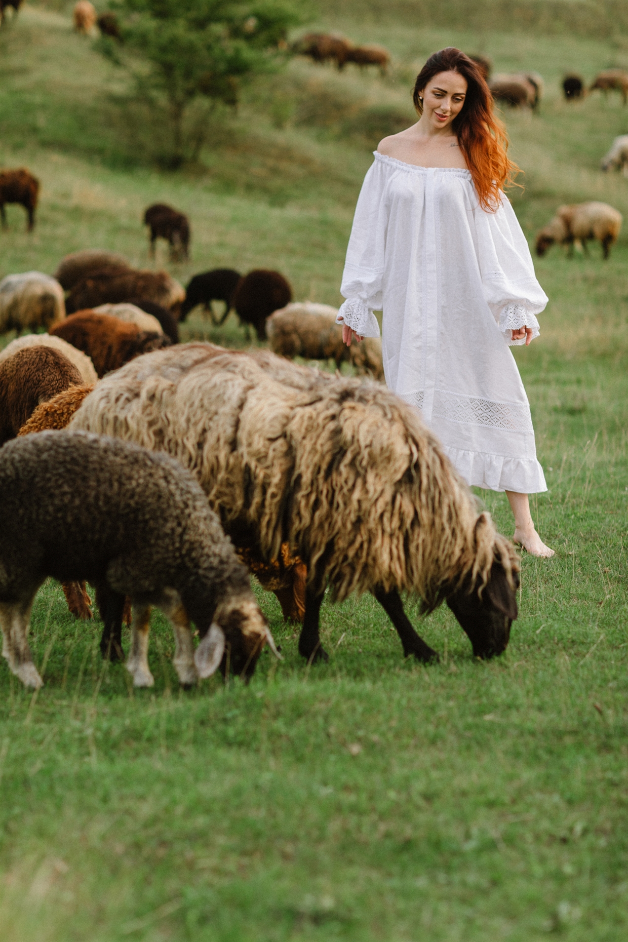 фотосессія на природі з вівцями